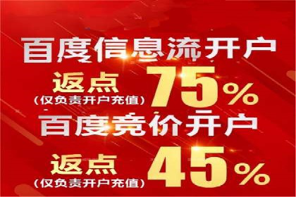 百度竞价费用分析，案例启示录